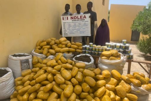 Lekki and Italy-based businessmen arrested for trafficking illicit drugs to Nigeria and Europe.