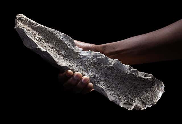 1.5 million-year-old bone tools discovered in Tanzania rewrite the history of human evolution