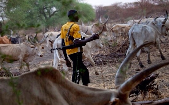 Suspected Fulani herdsmen kill young graduate in Abuja