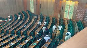 Bill to strip VP, Govs, Deputy Govs of immunity scales second reading at Reps