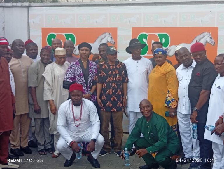 25,000 APGA members defect to SDP in Abia, boosting 2027 hopes