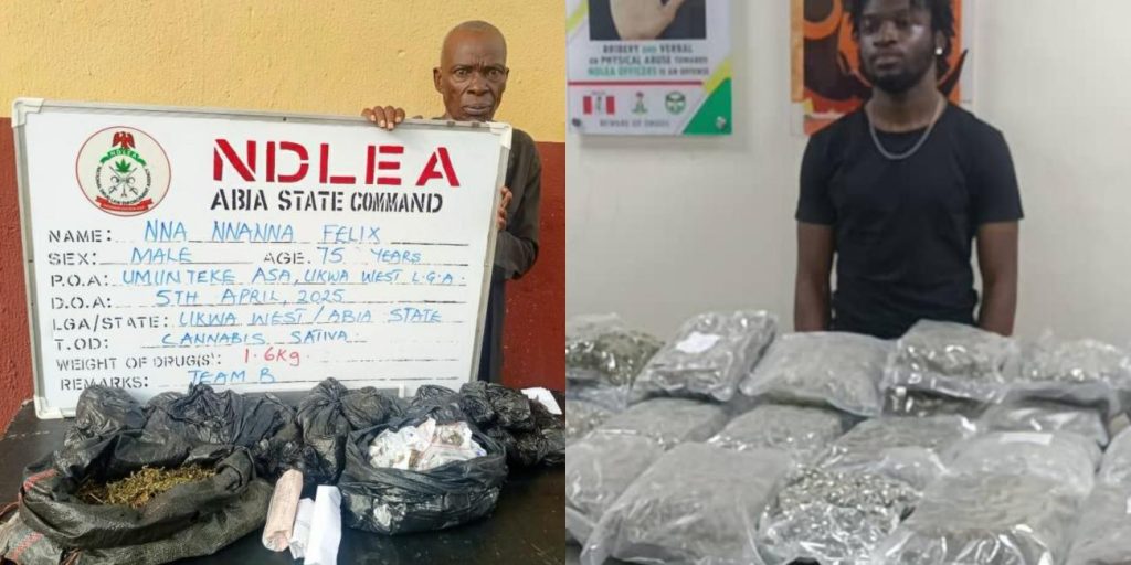 NDLEA: 75-year-old grandpa arrested with cannabis, 21-year-old nabbed with Loud