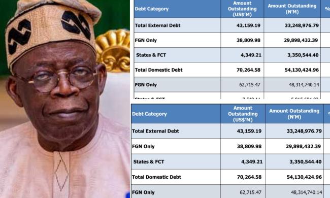 Nigeria’s debt soars by N55.2 trn under Tinubu despite ‘Renewed Hope’ vows