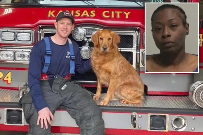 Missouri firefighter paramedic stabbed to death by patient in ambulance