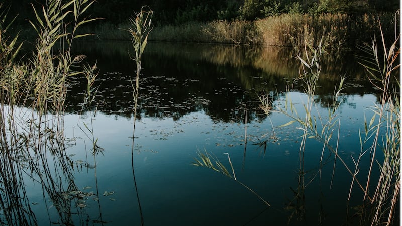 Boy drowns after saving his brother in Mississippi pond