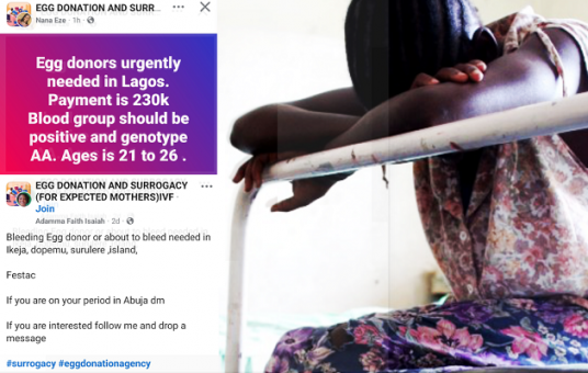 From Campus to Clinics: How desperate Nigerian students risk health selling eggs for quick cash