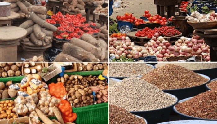 Experts debunk viral misinformation in Nigeria’s GMO food debate