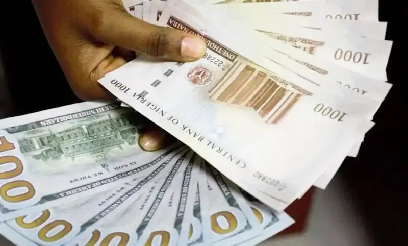 Naira loses ground across official, parallel FX windows