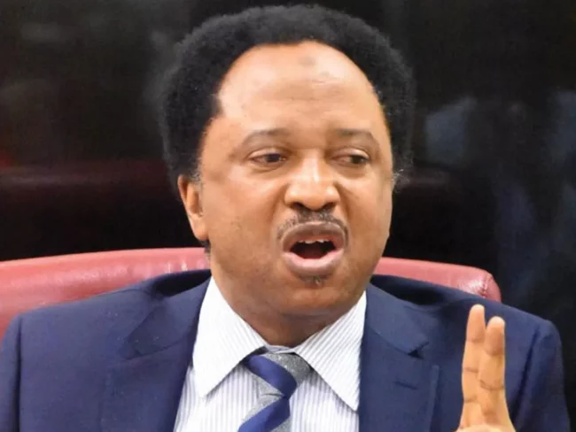 Shehu Sani: El-Rufai, Amaechi ‘architects of banditry and hunger’