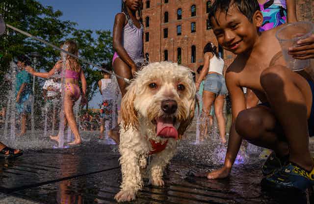 Why don’t humans have hair all over their bodies? A biologist explains our lack of fur
