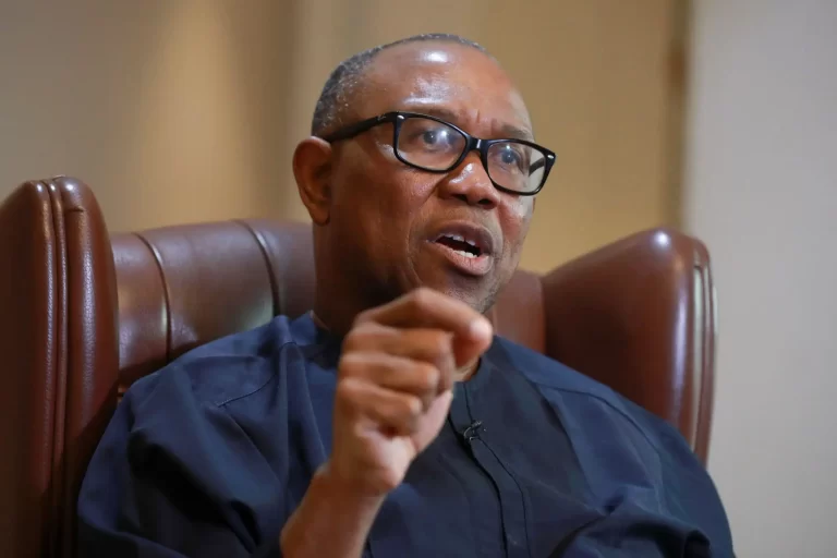 PDP chieftain to Peter Obi: Stop demarketing Nigeria