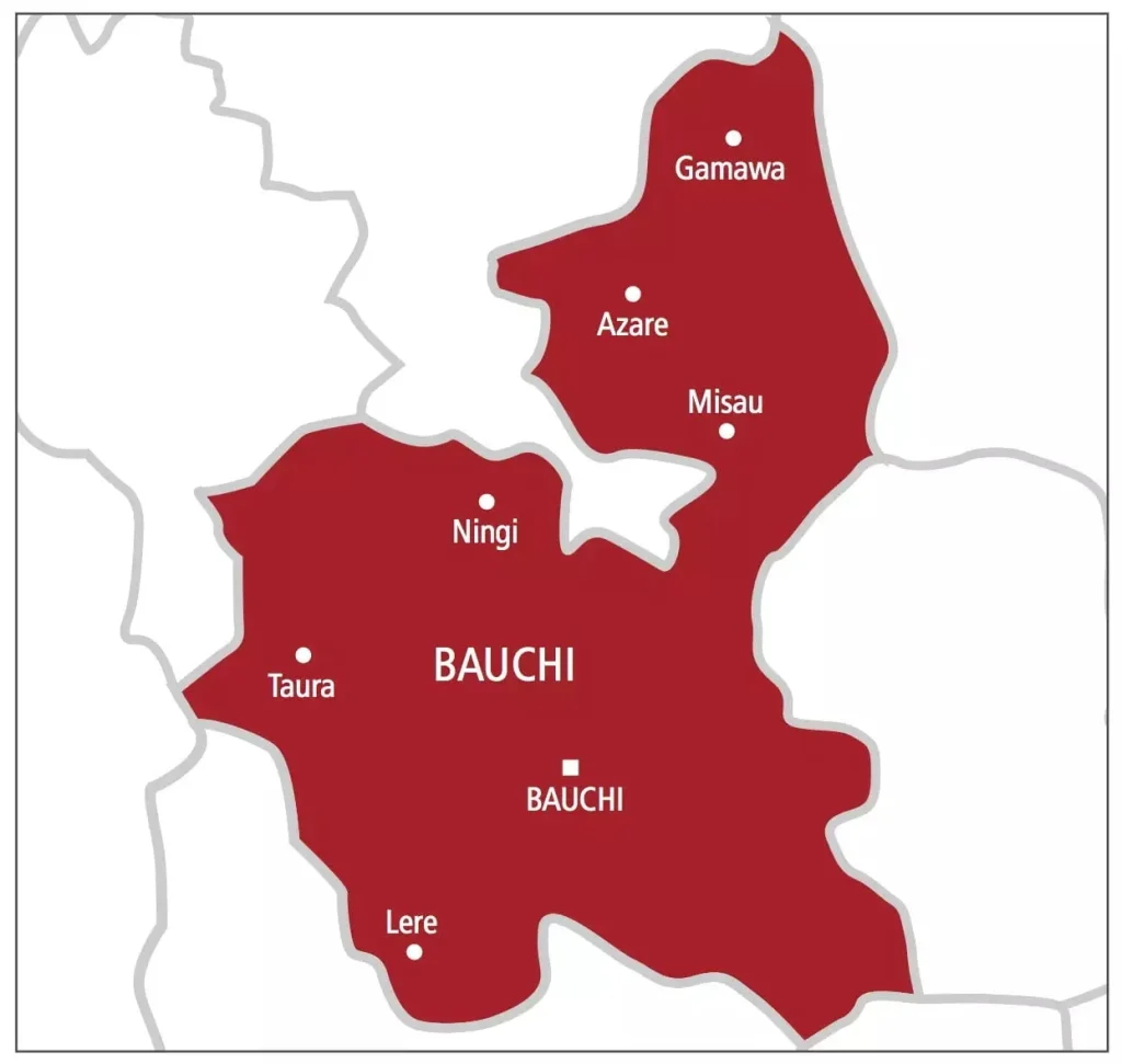 Bauchi: 19-year-old arrested for killing two girls, kidnapping newborn