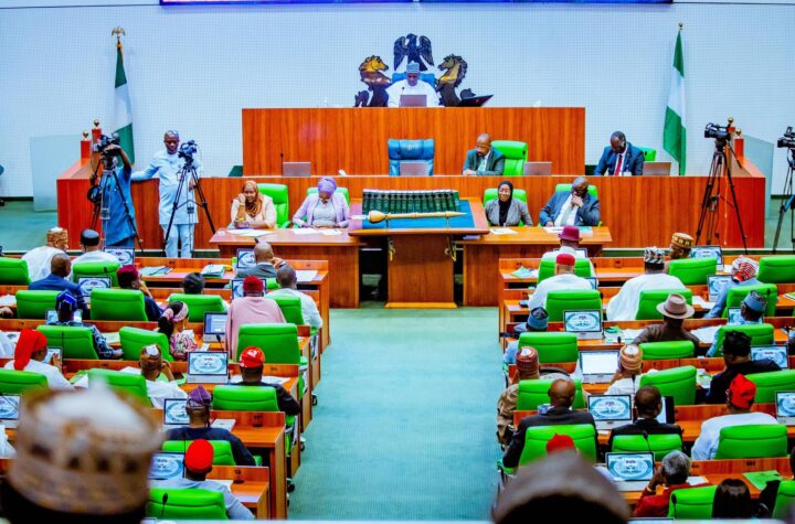 Reps push bill to make voting mandatory for Nigerians during elections