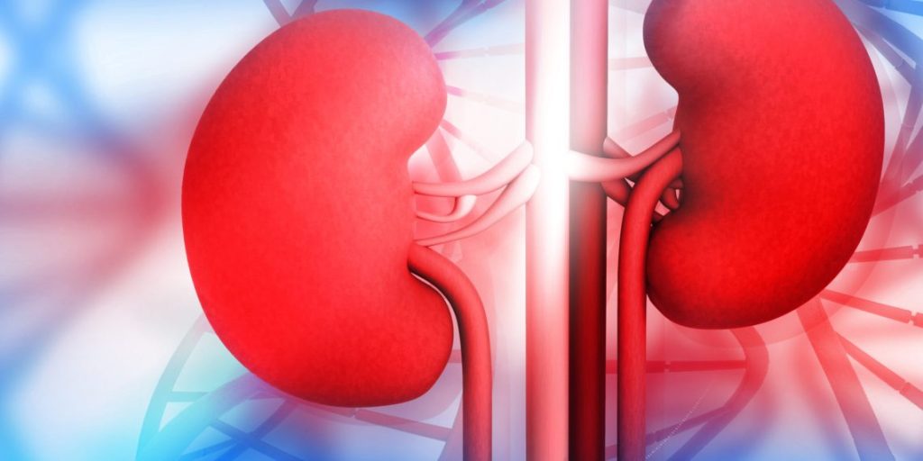 FMC Abuja conducts first-ever living-donor kidney transplant