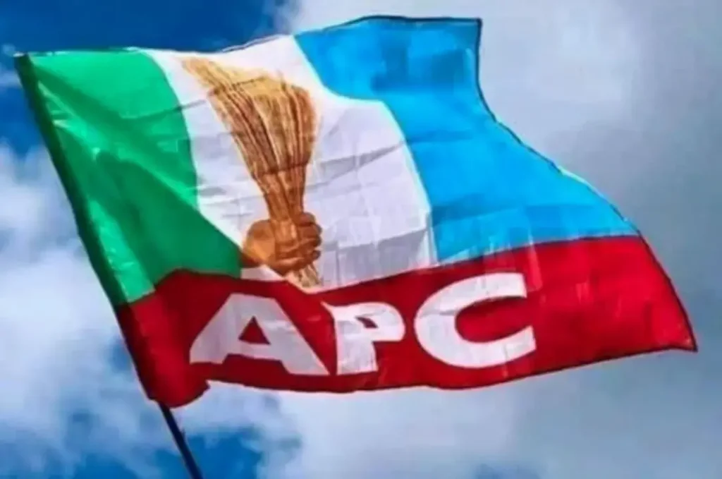 Lagos LG polls: APC spokesman describes party primary as hitch-free