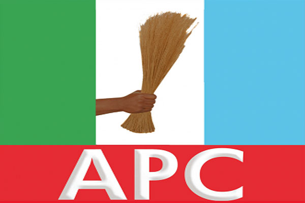 APC vice‑chairman defends Tinubu‑only endorsement, speaks on Shettima snub