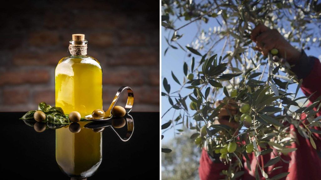 Can Lebanon’s olive sector become a goldmine?
