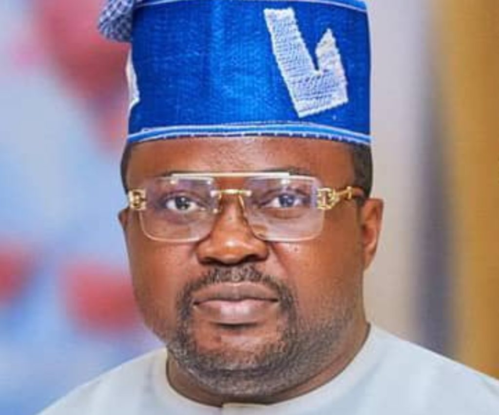 Forcing Nigerians to vote in elections violates the constitution – NNPP chieftain