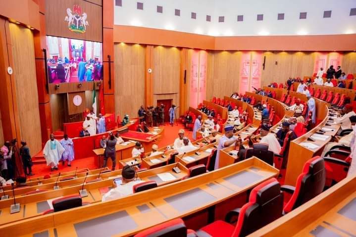 National Assembly blocks Senator Natasha’s resumption
