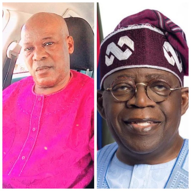 South-West group defends Tinubu, queries Northern critics