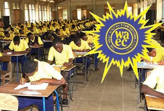 Parents, schools demand WAEC English exam cancellation over mass failure