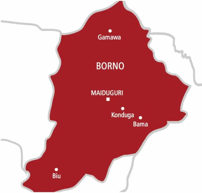 Emir confirms deaths of army captain, soldier, and three terrorists in Borno clash