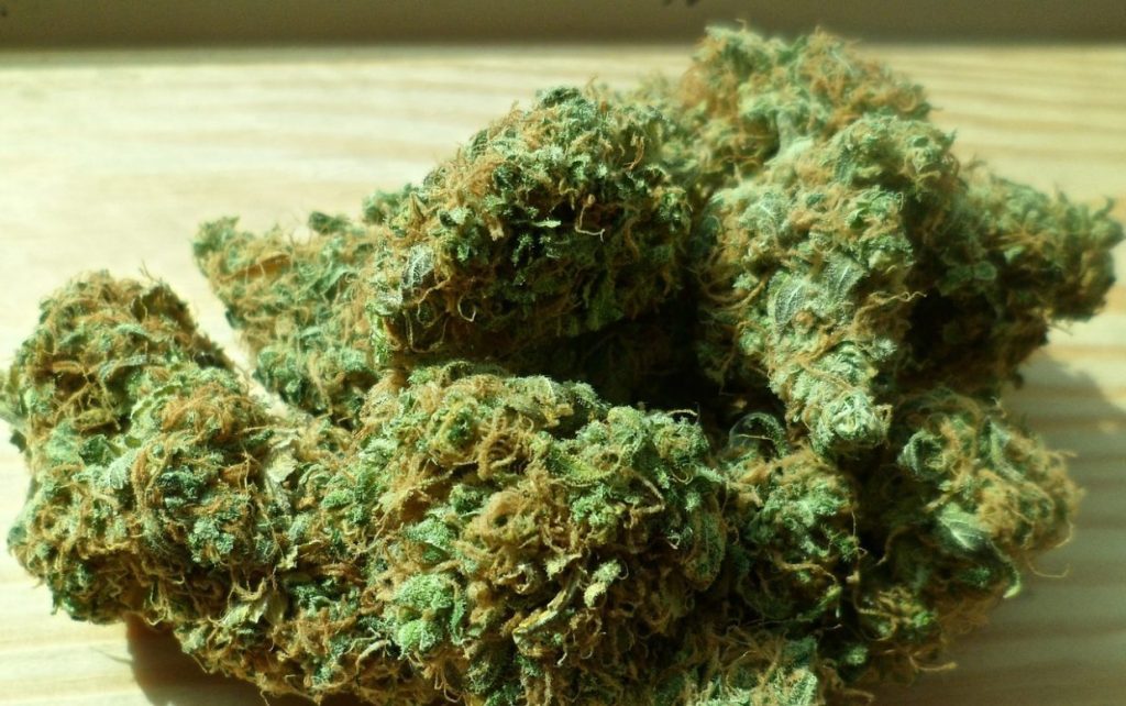 Woman from Lurgan caught supplying cannabis wrapped in kitchen roll