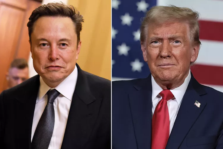 Musk says Trump would have lost the election without him