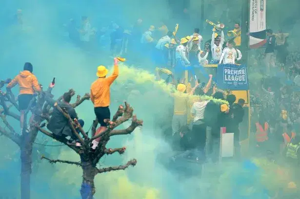 Football fan in coma after falling from tree during club victory celebration