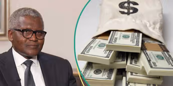 Dangote ‘turned down 0bn’ big tech fortune to build Nigeria’s future