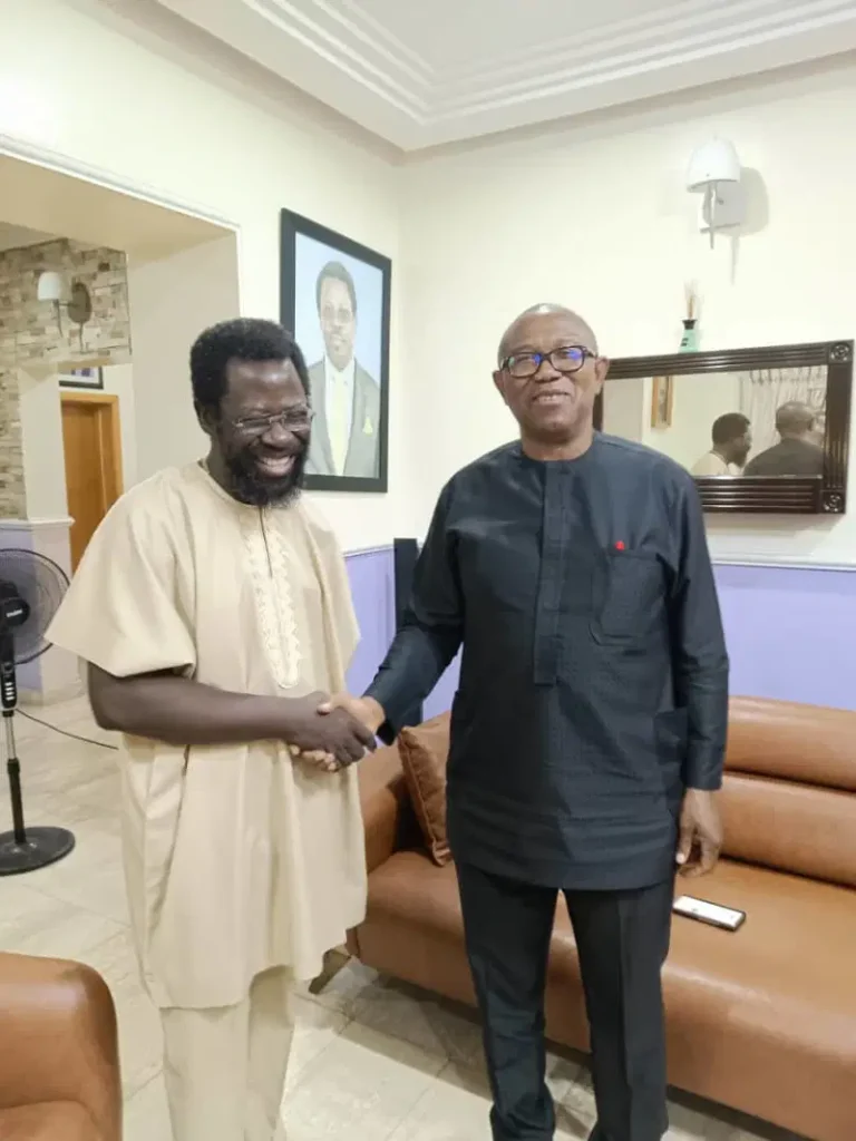 2027: ‘I will definitely be voting for Peter Obi’, says Dele Farotimi