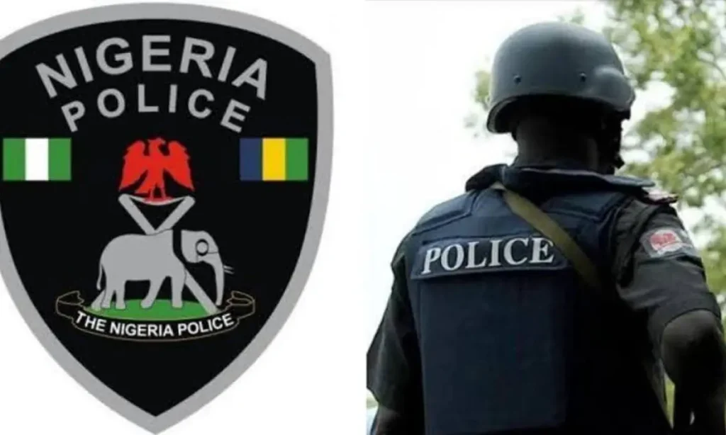 Lagos police arrest officer filmed assaulting Uber driver in viral clip