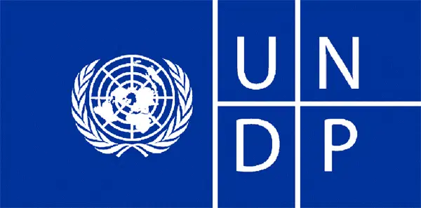 UNDP reports that Nigeria loses more than N2 billion annually due to unreliable power supply