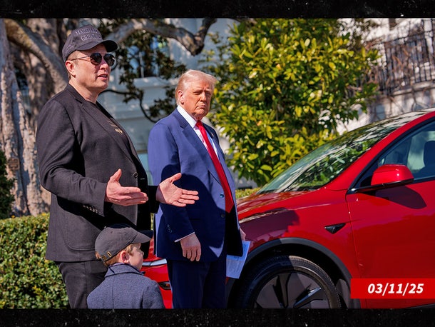 White House dumps Tesla as bromance crashes