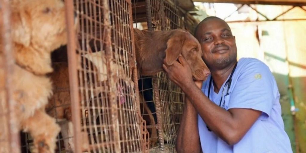 Pet owners abandon animals as Nigeria’s economic crisis worsens under Tinubu – report