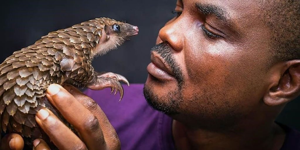 New Nigerian wildlife bill aims to crack down on international trafficking