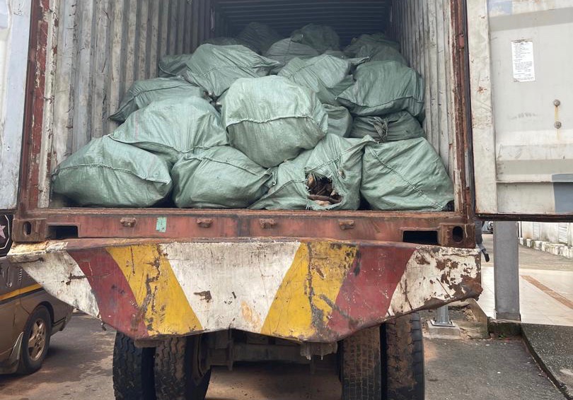 Customs seizes N3.6bn worth of dried donkey skin in major operation
