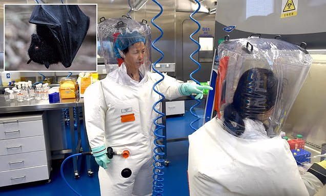 Virus found in China is close to sparking a pandemic, say scientists