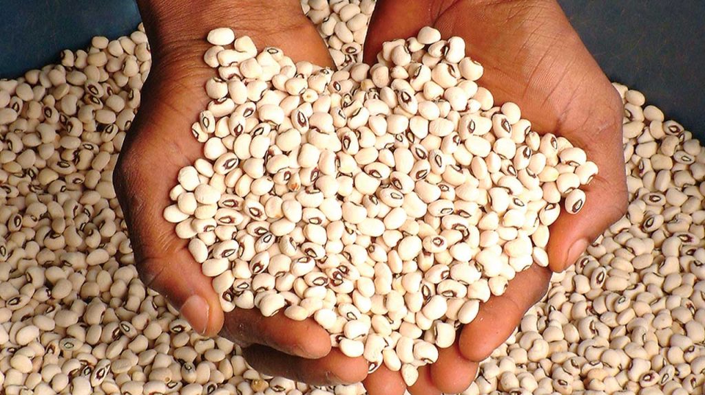 Beans price drops by more than 100 percent across markets