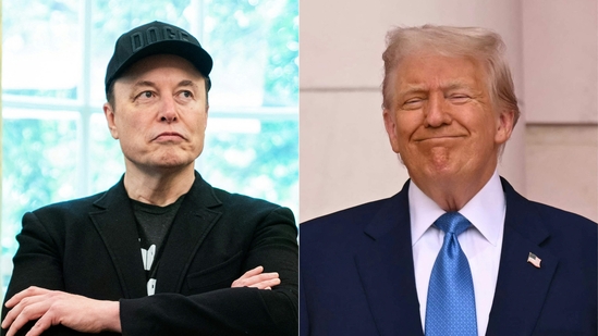 ‘Deport Elon Musk’: Steve Bannon urges probe into Tesla boss’s immigration background