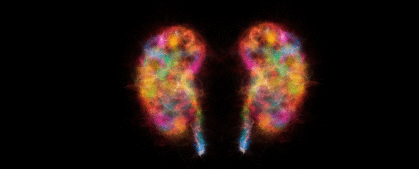 Study reveals Parkinson’s disease might not start in the brain