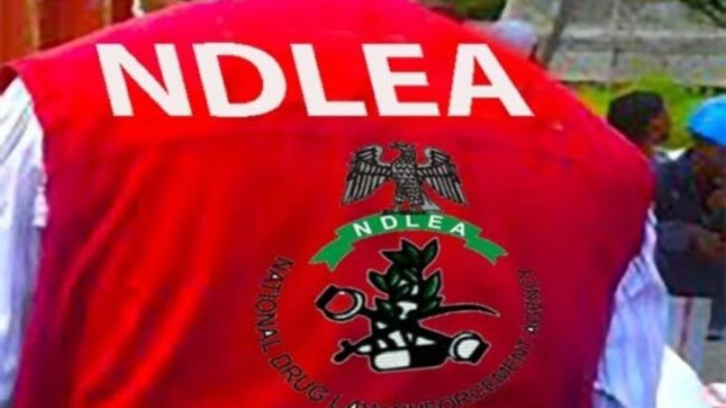 NDLEA arrests ex-convict, 3 others over UK-bound cocaine hidden in starch sachets