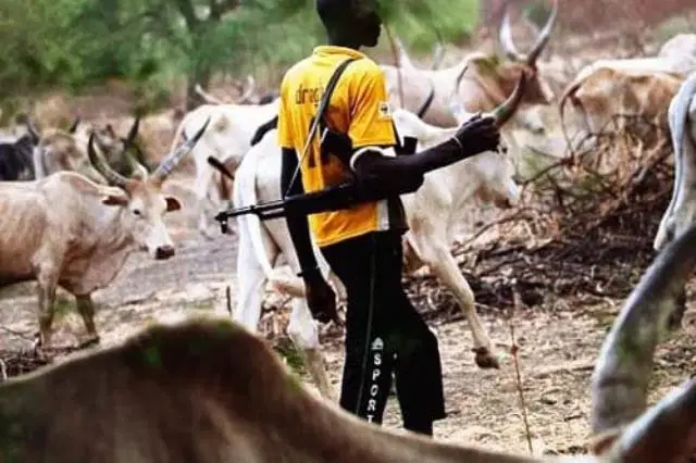 Armed herders kill four, including mother and son in fresh benue attack