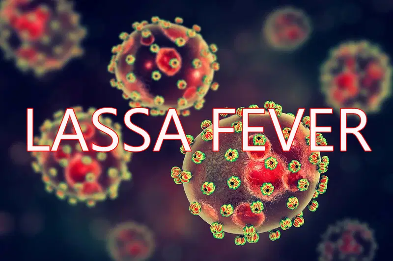 Lassa fever outbreak worsens in Nigeria as death toll rises despite ongoing national interventions