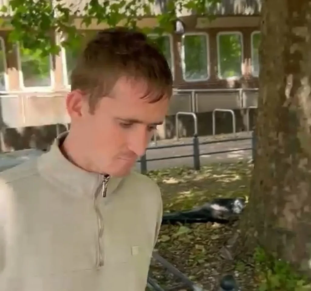 Volunteer suffers spinal injury during sexual abuse of horses at stables