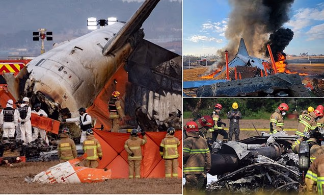 Pilot error caused South Korea crash that killed 179, investigators say