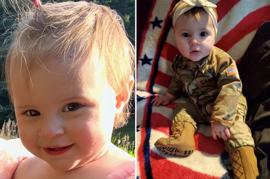 1-year-old killed by pet pit bull as mom tries in vain to save her