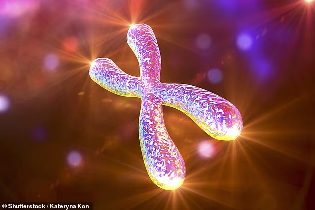 Scientists build synthetic human DNA, sparking ‘playing God’ fears