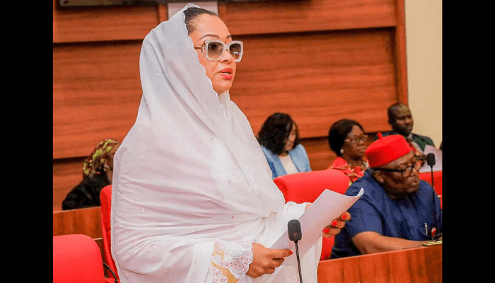 Natasha Akpoti’s reinstatement not our mandate — National Assembly