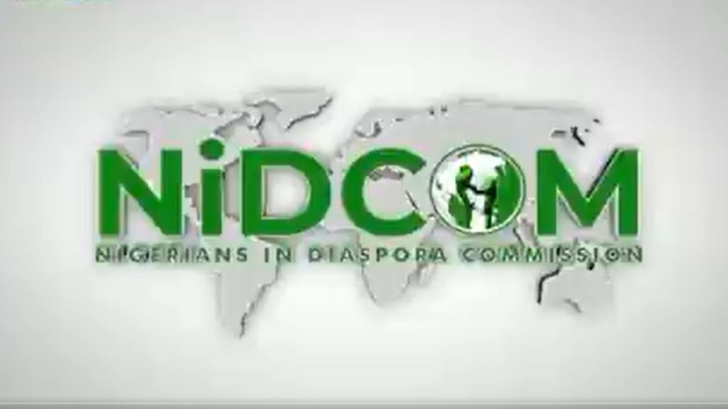 U.S.-based group slams NIDCOM over ‘extravagant’ Diaspora Day spending